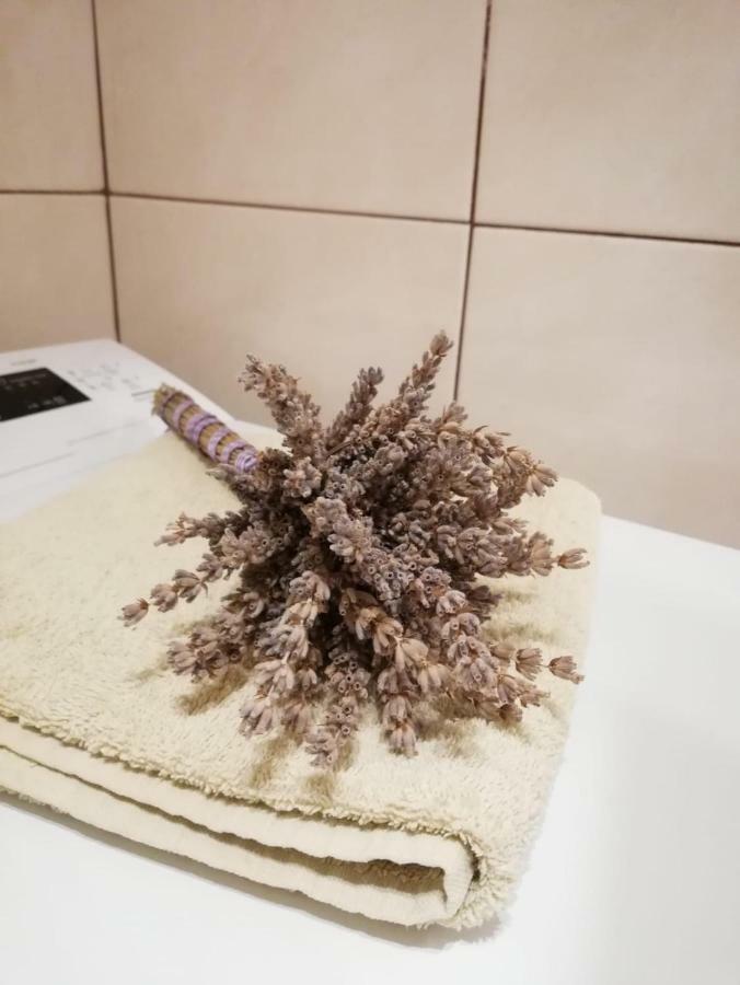 Apartman Jela Šibenik Extérieur photo